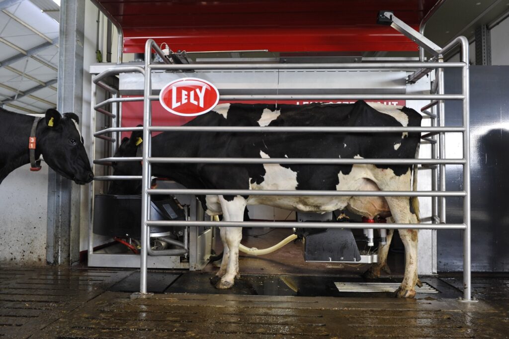 Lely's live robotic milking and zero grazing return to the Ploughing