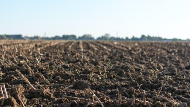 Soil scheme Met Éireann researcher soil moisture