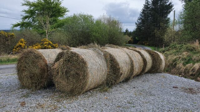 Baled rushes