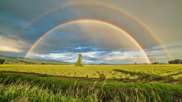 Rainbow across farms