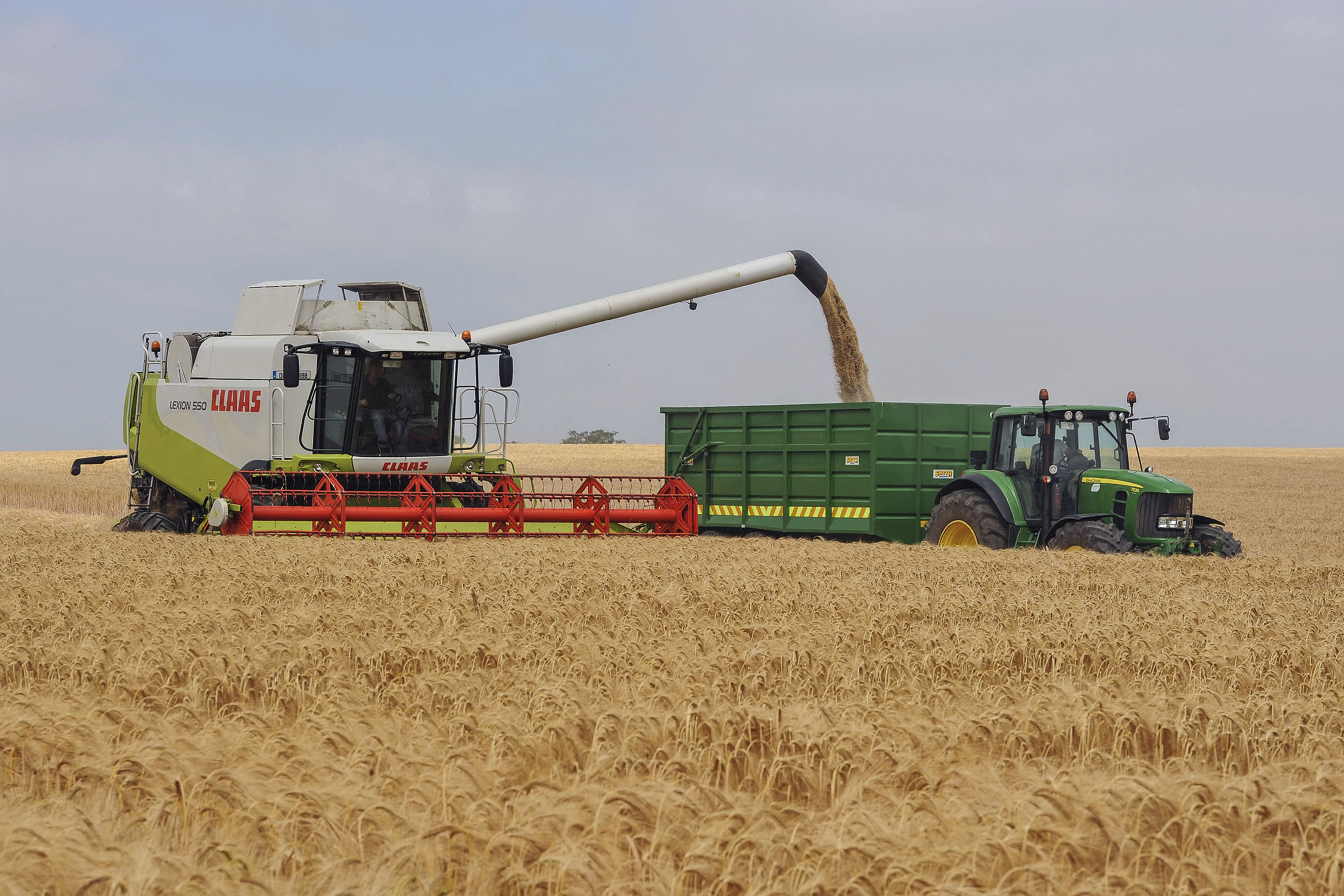 Cereal crops and potato production estimated to fall in the North this