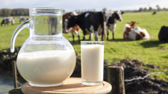 Coronavirus causes ‘unease’ in the global dairy market