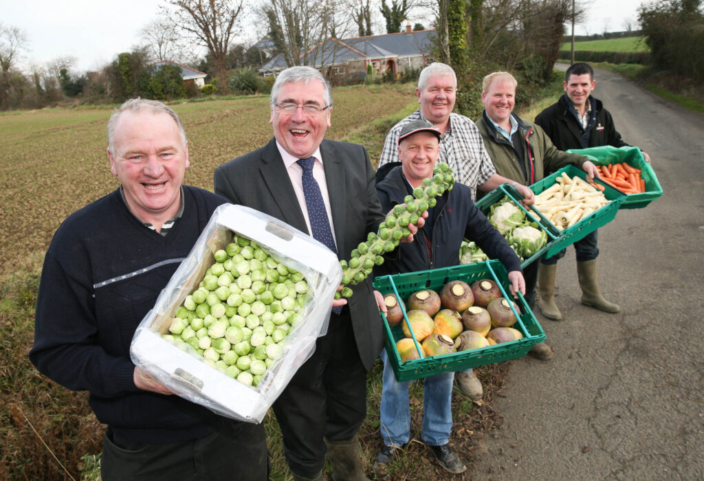 Consumers urged to buy Irish vegetables this Christmas Agriland.ie