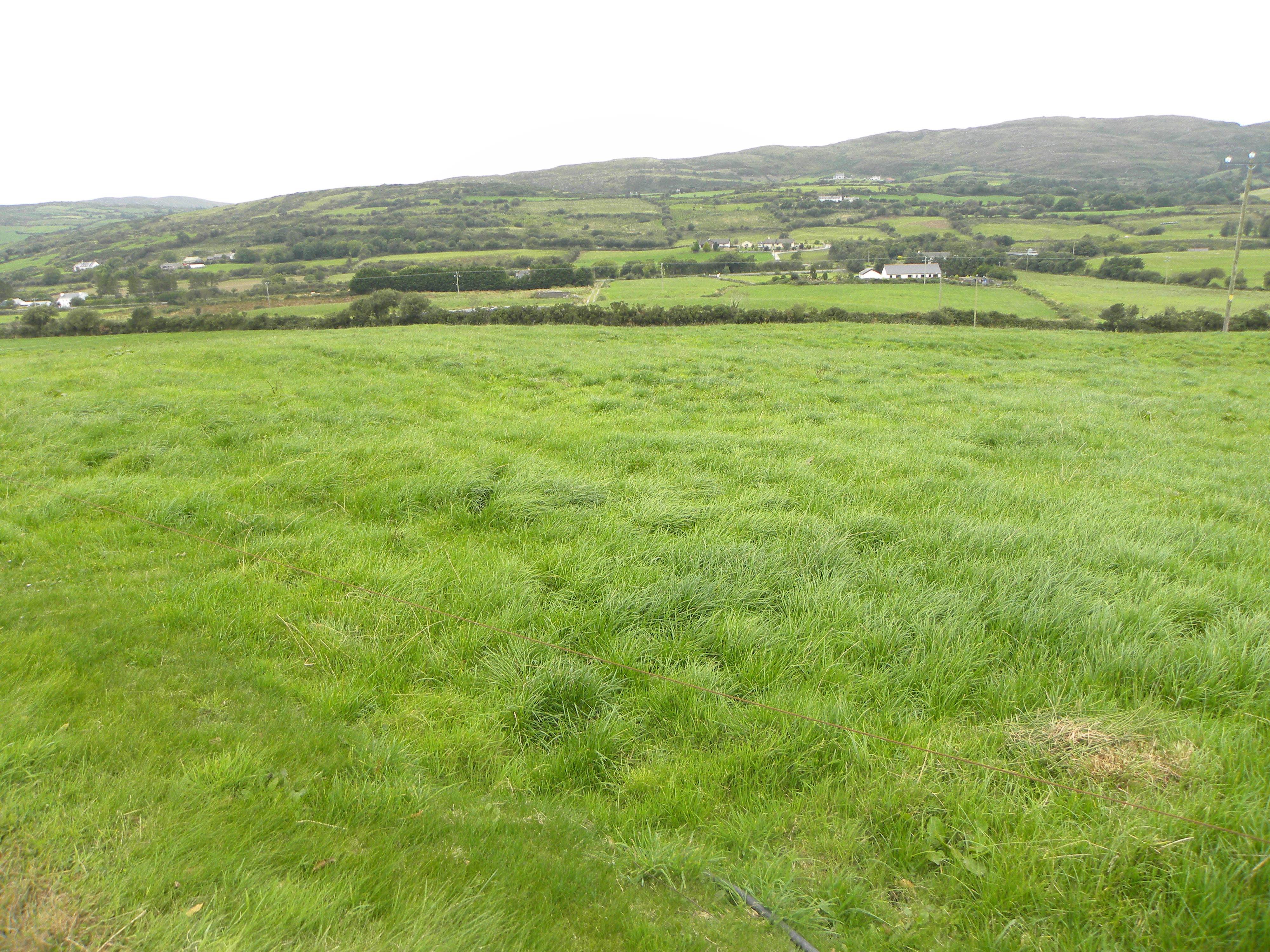 Is Ireland facing a grass famine and feast situation? Agriland.ie
