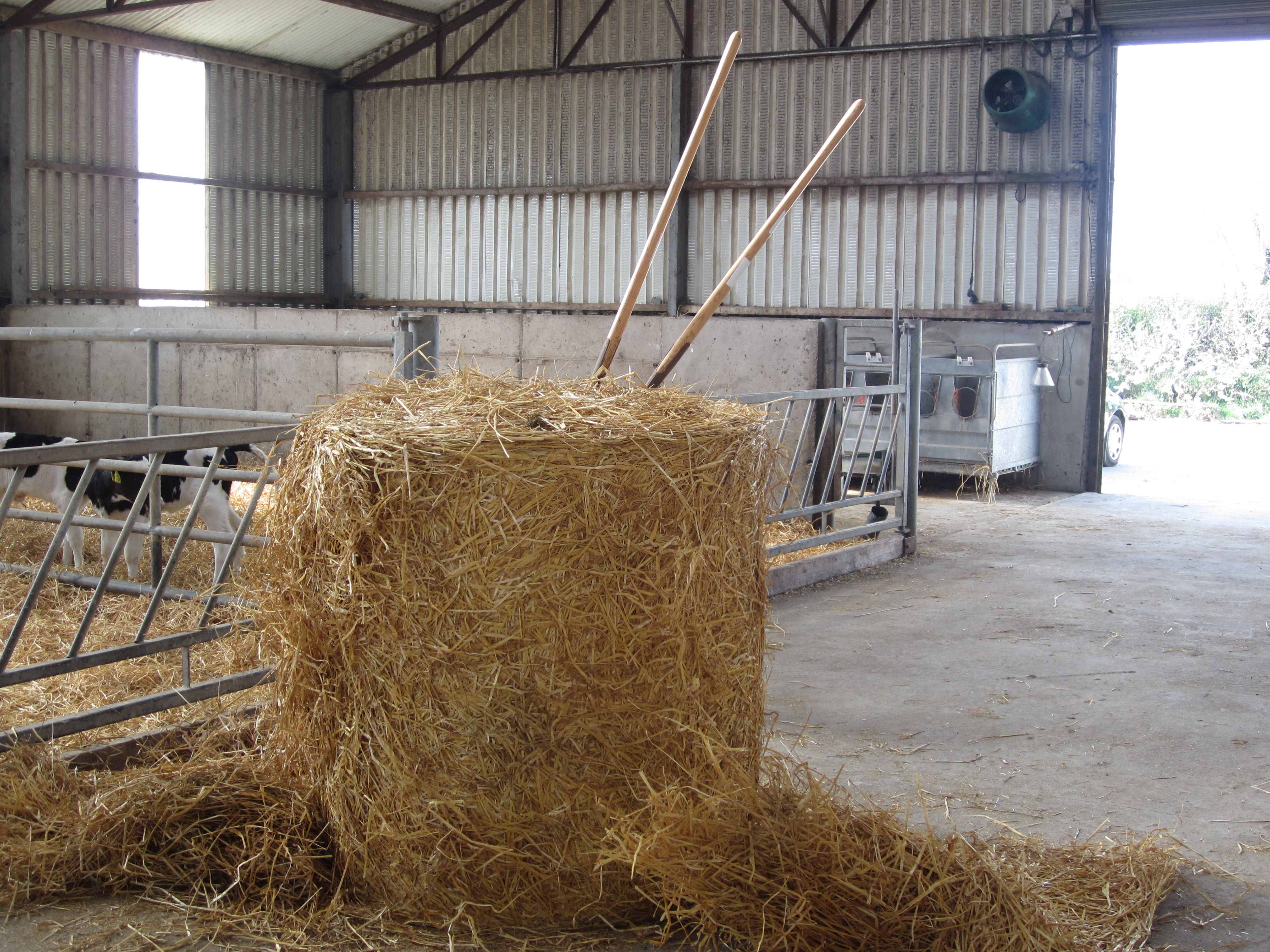 Bales of straw costing as much as bales of hay and silage Agriland