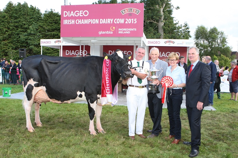 The Diageo: Baileys’ Dairy Cow of the Year for 2015