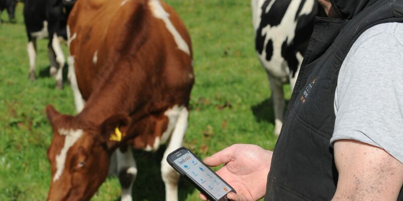 Herdwatch reveals high-level appointments at Agtech online - Vimarsana News