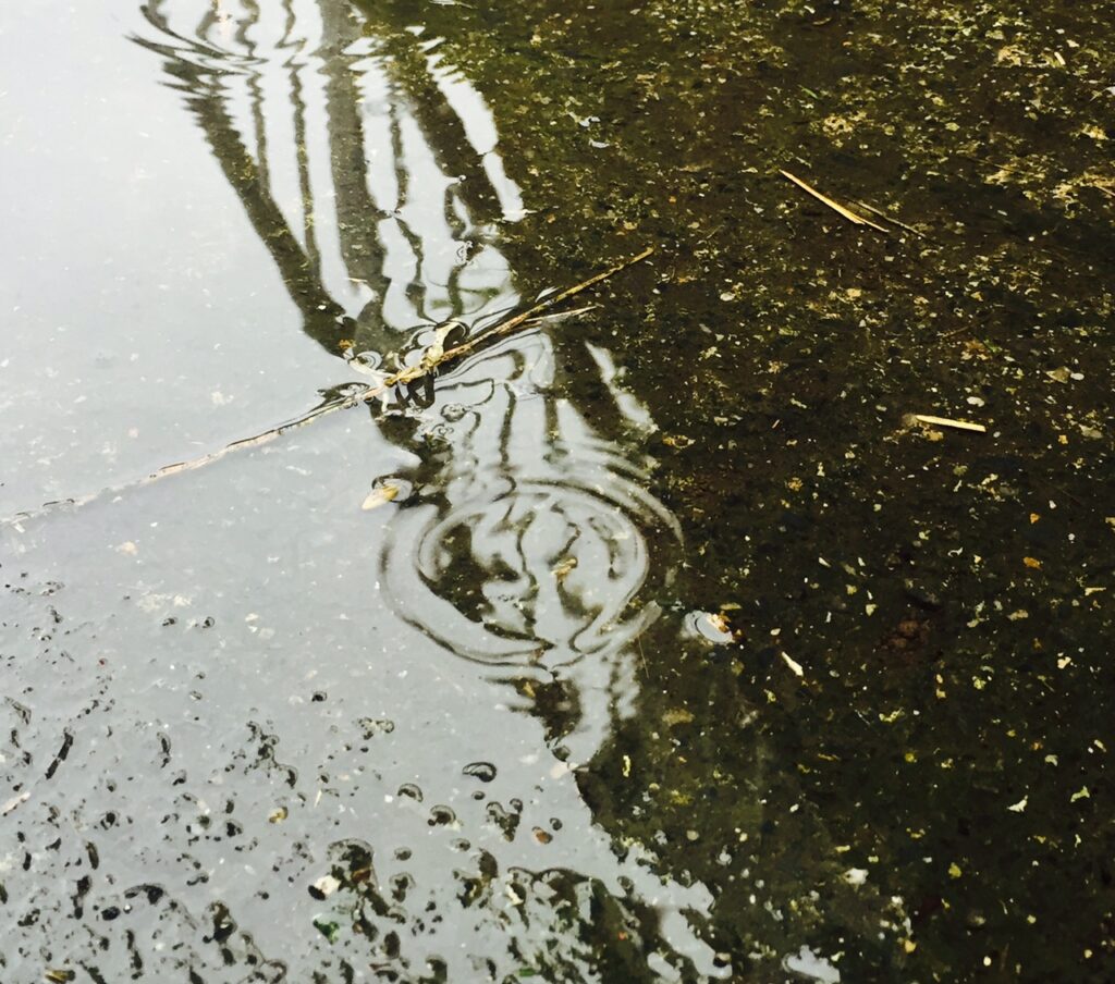 Up to 50mm of rain expected along the west coast Agriland.ie