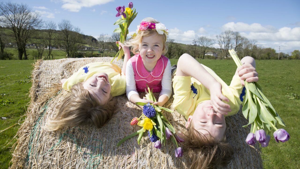 Bigger farm machinery display in store for this year's Cork Summer Show