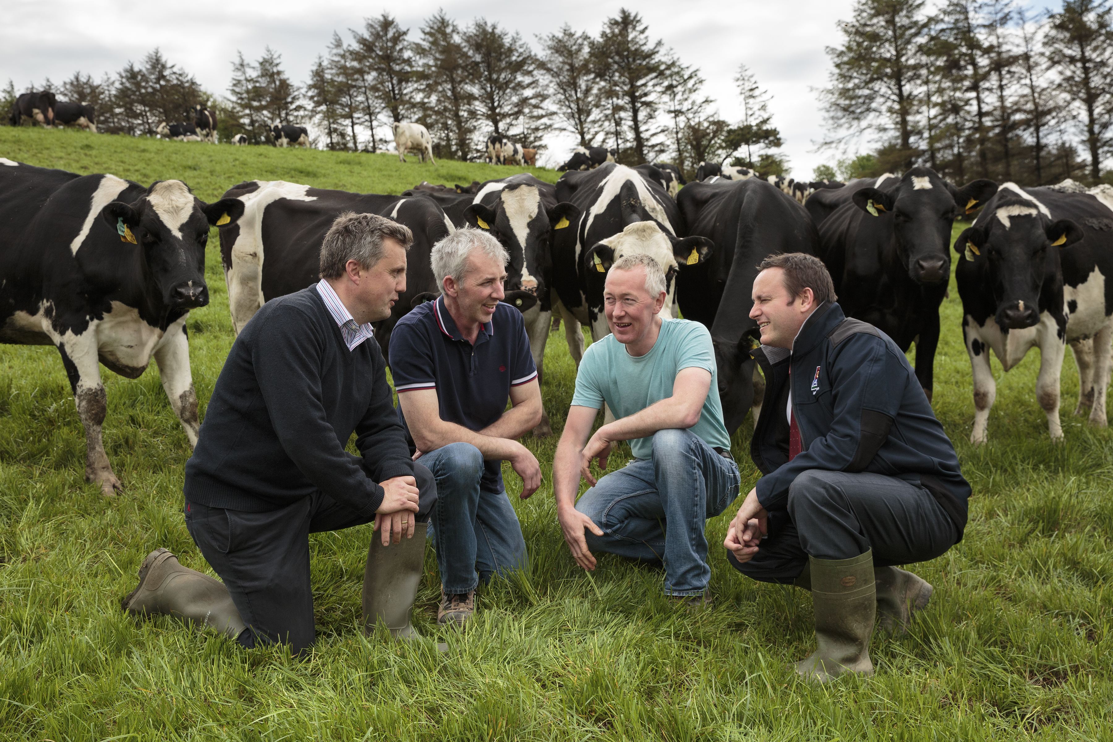 'One third of Ireland's milk is produced on heavy lowland or hilly