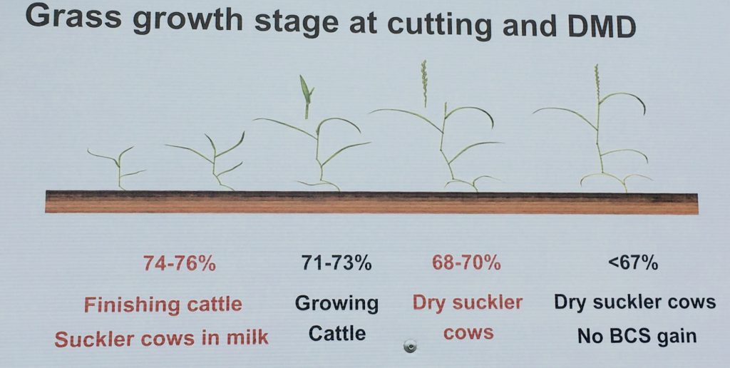 Source: Teagasc