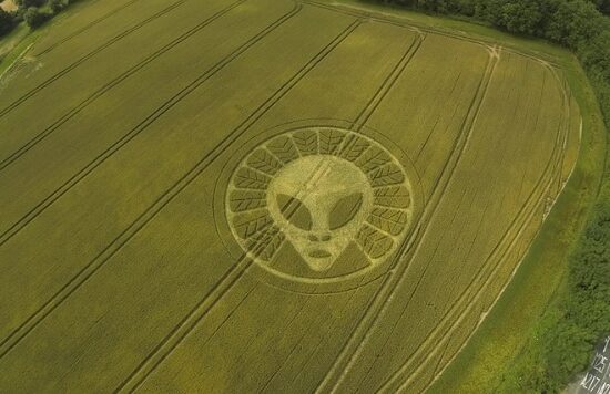 Crop circle of an alien appears in a field of wheat in the UK - Agriland.ie