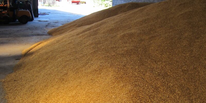 2021: Optimism as demand for home-grown grain increases - Vimarsana News
