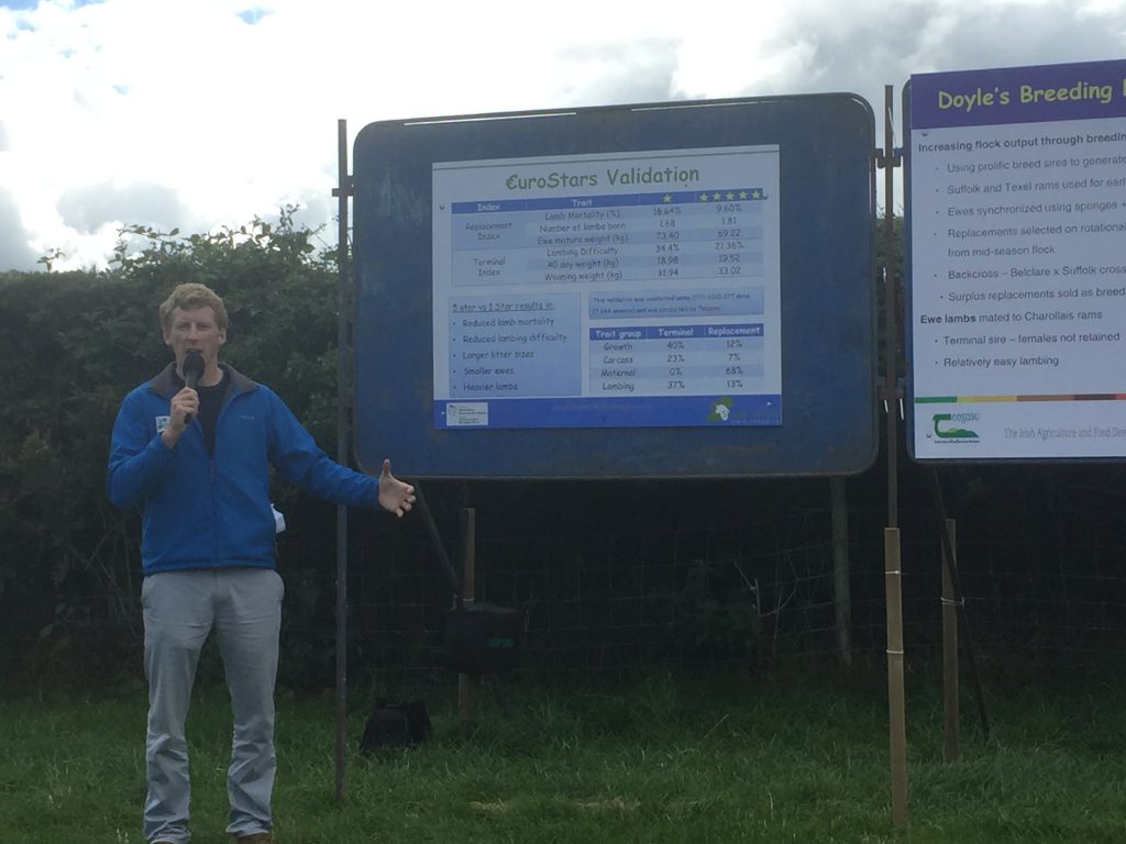 Sheep Ireland's Eamon Wall speaking at the farm walk