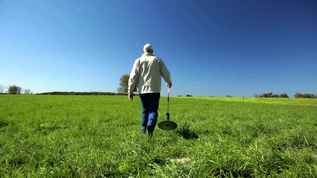 Grass, Northern Ireland, AgriSearch,