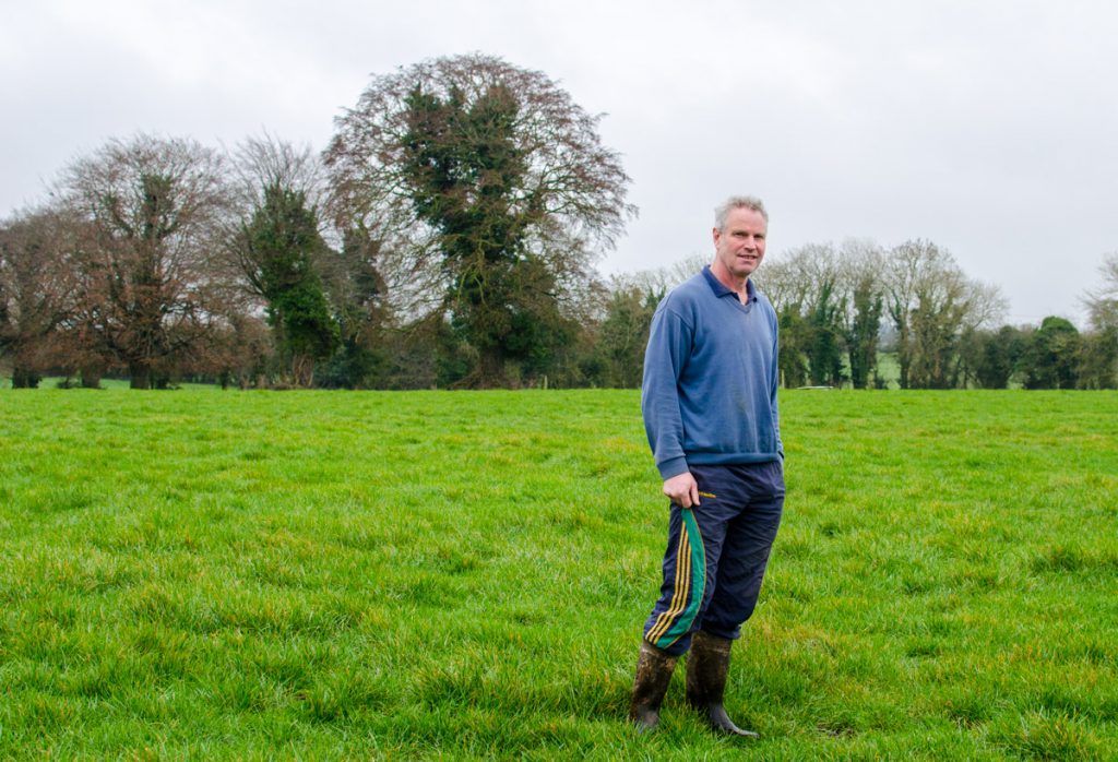 Liam Harnan's cows produced 464kg of Milk Solids each from 500-600kg of concentrate input in 2016