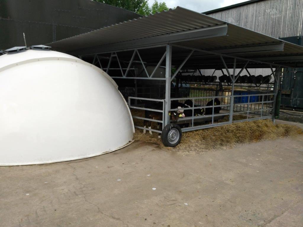 Calf igloo