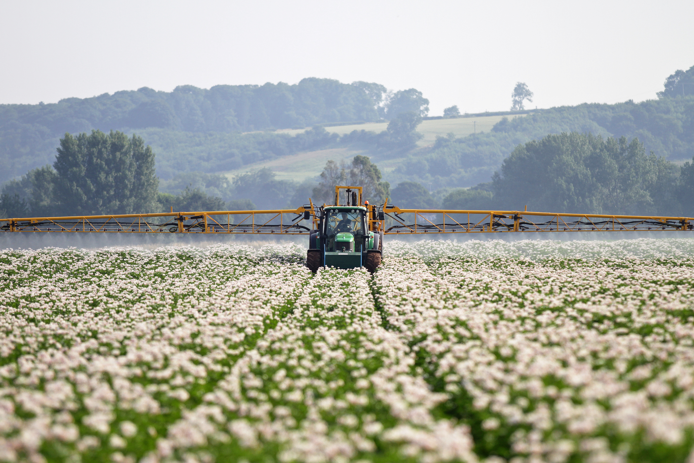 New potato blight control programmes for the future Agriland.ie