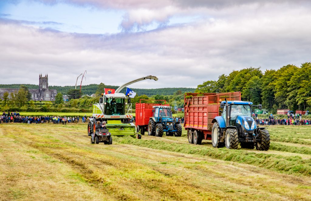 silage women