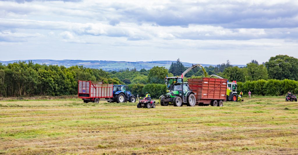 silage women