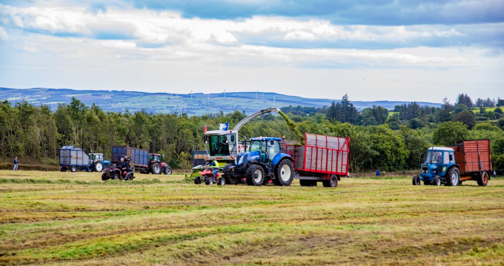 silage women