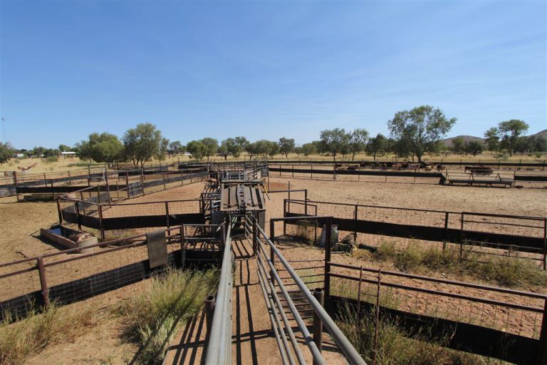 Pics See the Australian cattle station that sold for 13 million