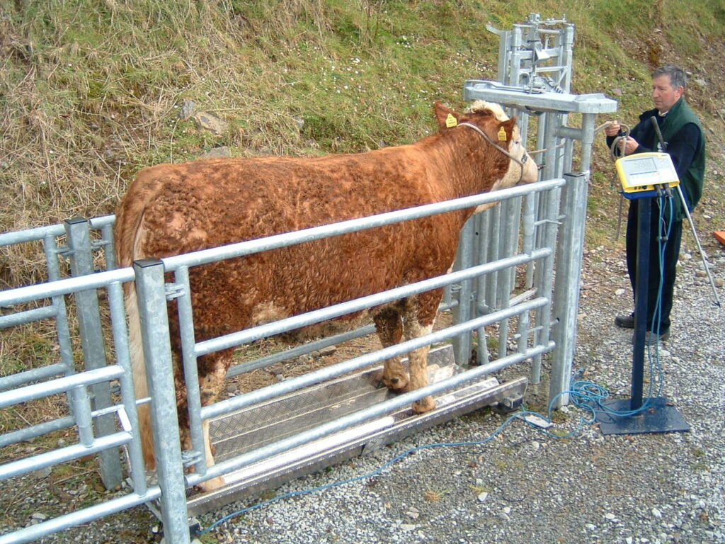 €1,900 weighing scales up for grabs in Farm Free 2017 Agriland.ie
