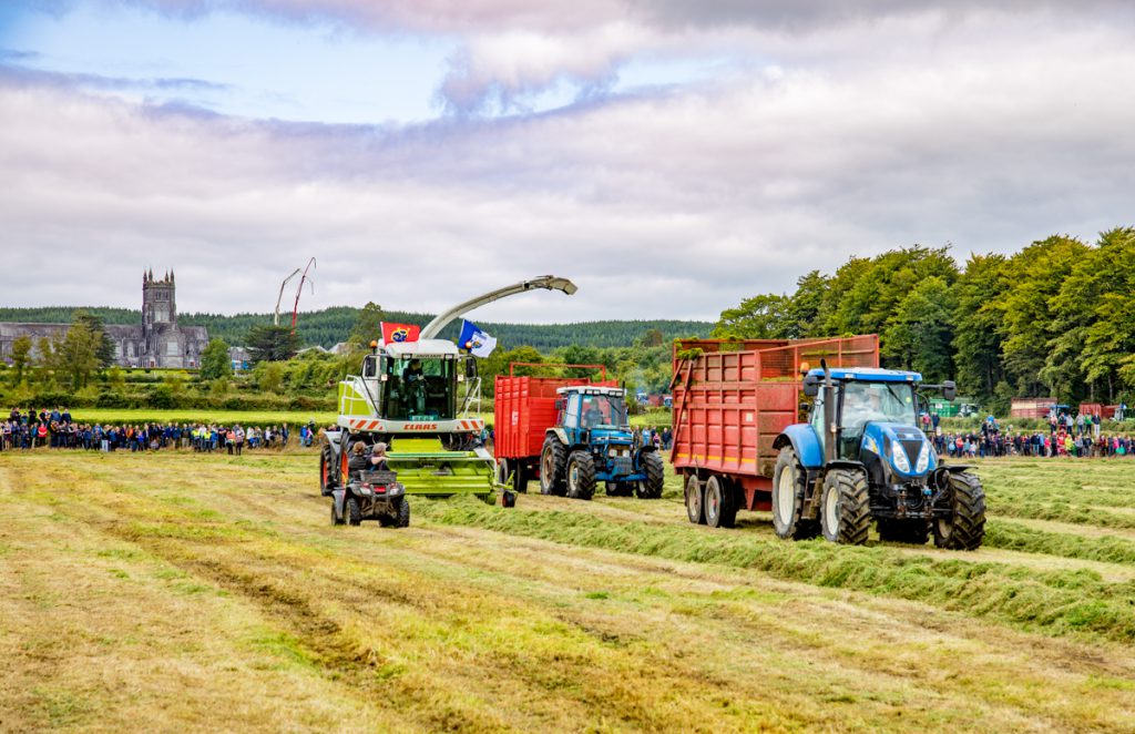 silage