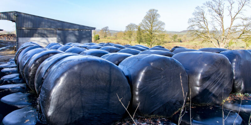 Nutritional value of silage: Maximising feed on your farm - Vimarsana News