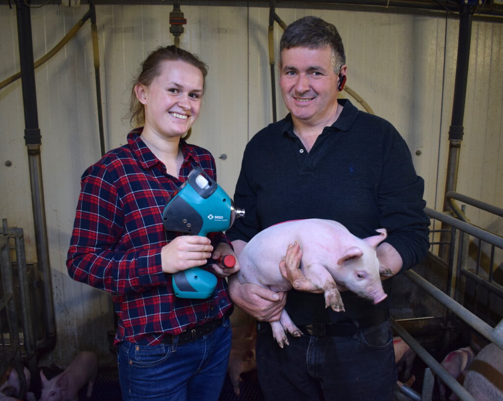 Hightech, lowlabour vaccination on a farrowtofinish unit Agriland.ie