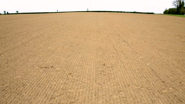 CROPS WATCH: Beet sown later than planned and early herbicide is essential