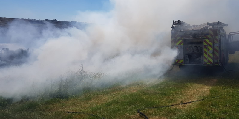 Department issues warning on illegal burning and hedge-cutting - Vimarsana News