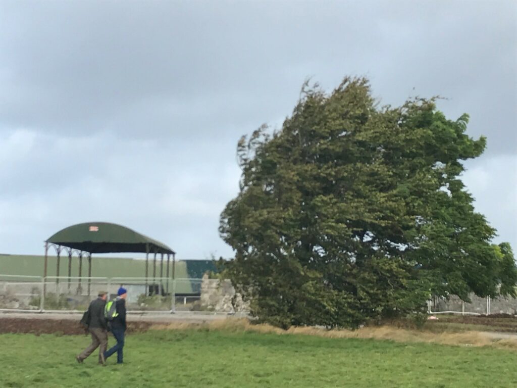 ploughing storm farm walk