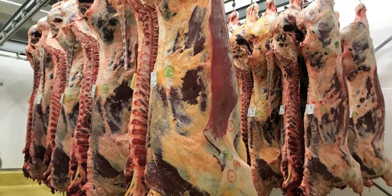 Beef Kill: Numbers processed close to 6,000 head behind same week in 2020 - Vimarsana News