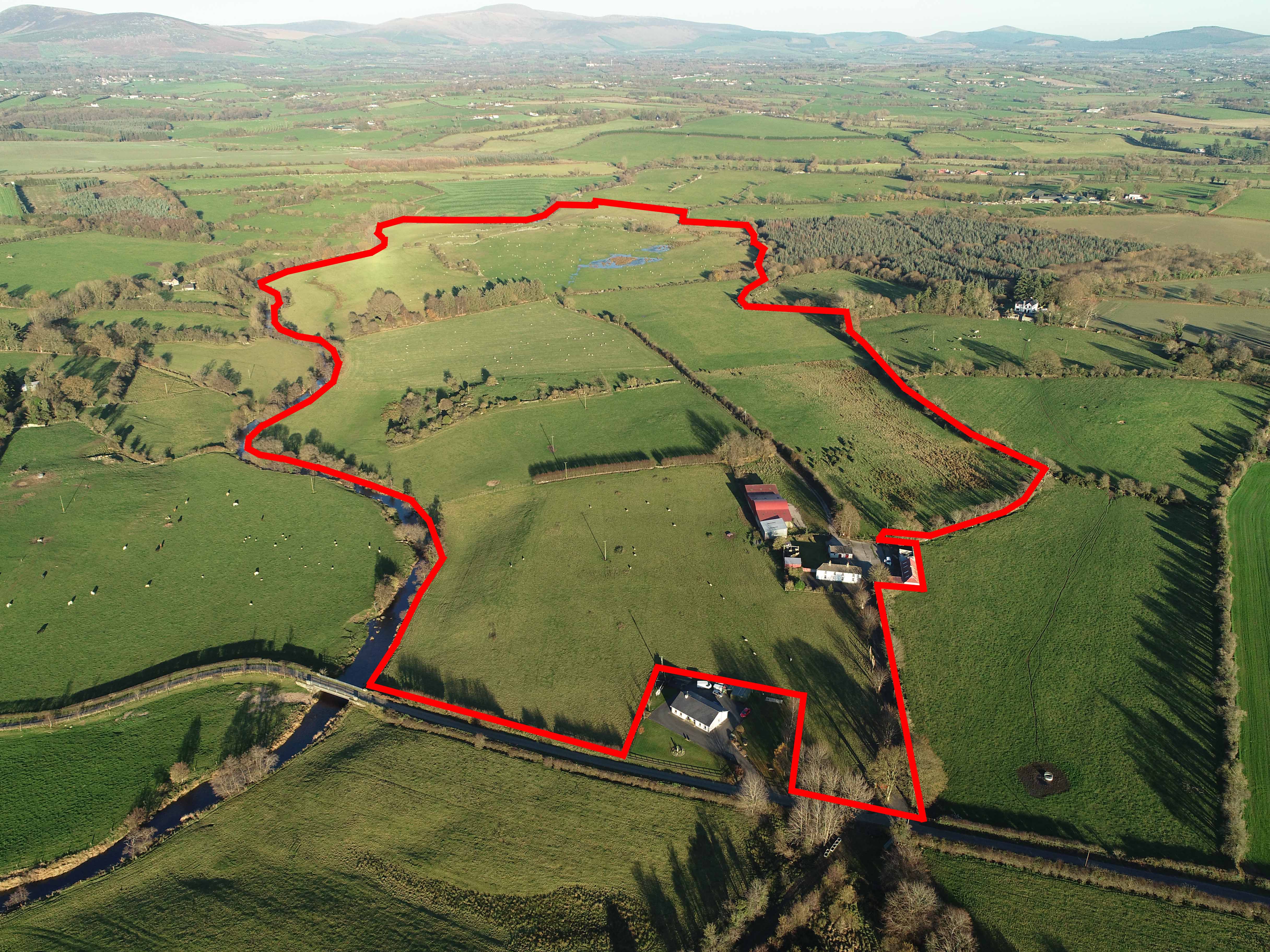 'Very fine' grass farm in one block for sale by public auction in Co