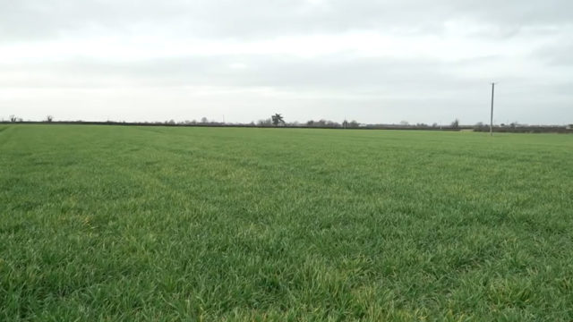 CROPS WATCH: Front loading winter barley for the season ahead