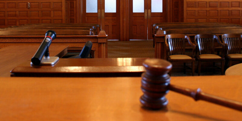 Vet convicted for possession of unauthorised animal remedy - Vimarsana News