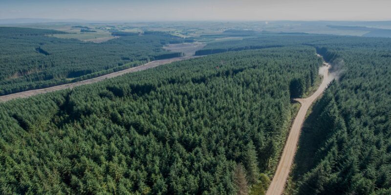 New carbon sequestration calculating tool launched - Vimarsana News