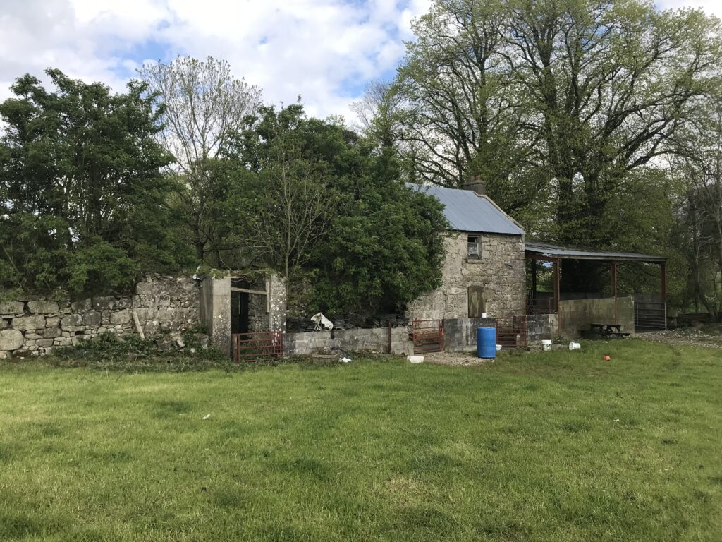 Hacketstown roadside holding with derelict house for sale Agriland.ie
