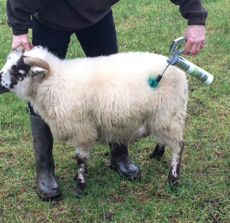 'Making a Mark' Has this young entrepreneur the solution for marking