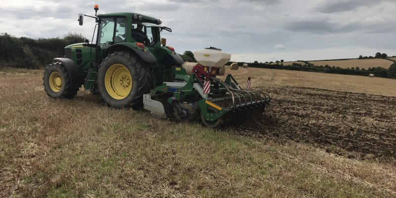 Catch crops will act to boost water quality in tillage areas - Vimarsana News