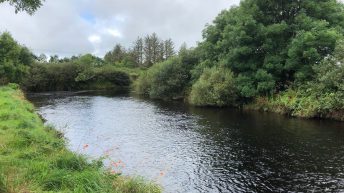 ‘Farmers want to do the right thing’: ASSAP report ‘encouraging’