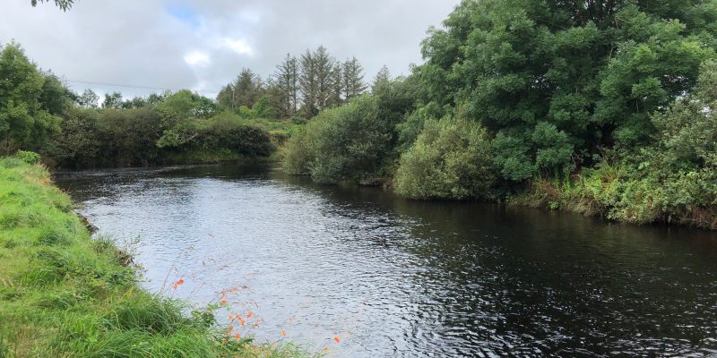 Teagasc Water Quality Week slated for March 22-26 - Vimarsana News