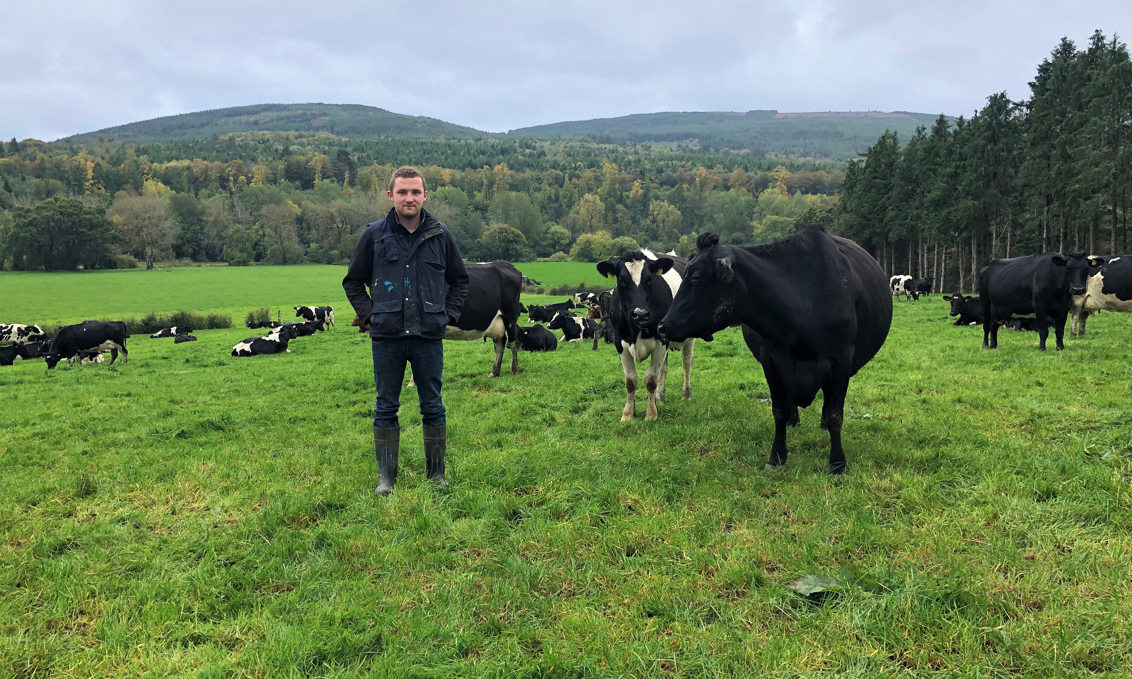 Dairy focus Halving the milking time of 450 cows with a 50bale rotary