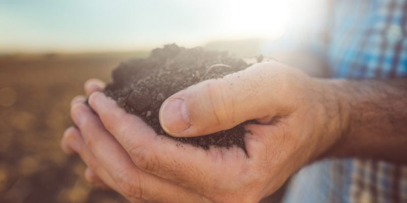 Public invited to contribute to preparation of new EU Soil Strategy - Vimarsana News