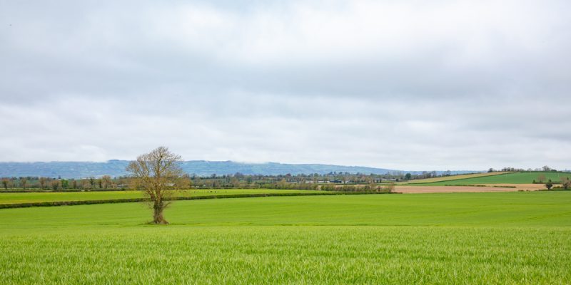 Land prices 'remarkably resilient': Breakdown of regional price/ac last year - Vimarsana News
