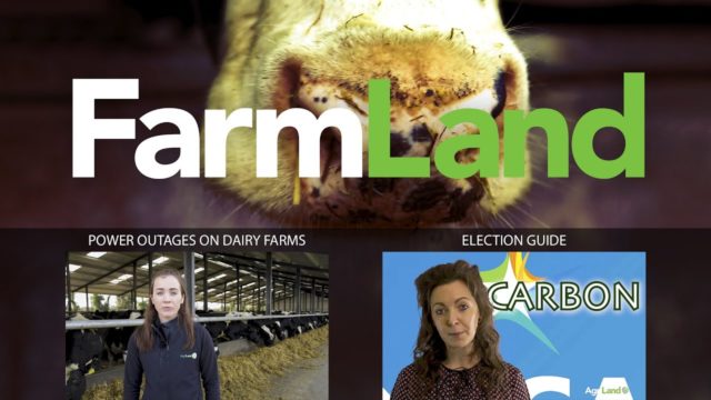 FarmLand 6th February 2020