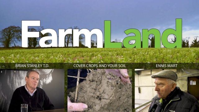 FarmLand 20th February 2020