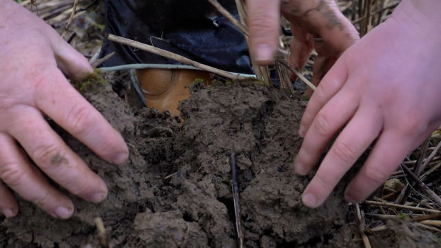 How to examine the soil beneath your cover crops