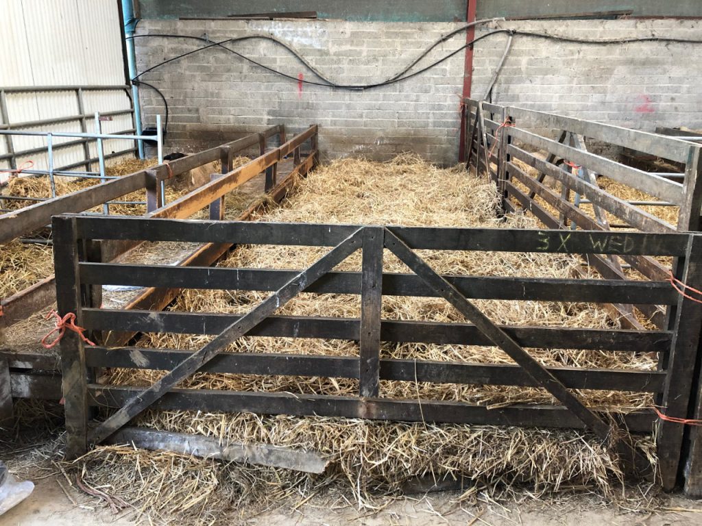 Have you calculated your floor and feed space for you ewes this lambing